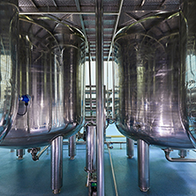 Rizhao Lanshan Biochemical